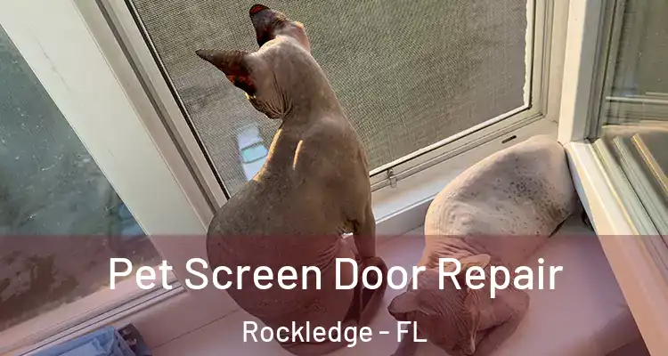 Pet Screen Door Repair Rockledge - FL